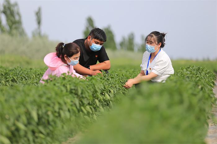 1.焉耆县纪委监委干部深入田间地头走访各族群众，认真倾听群众呼声，了解社情民意，收集与群众密切相关的热点问题及基层干部作风方面的廉情信息。（郑彬 摄）.jpg