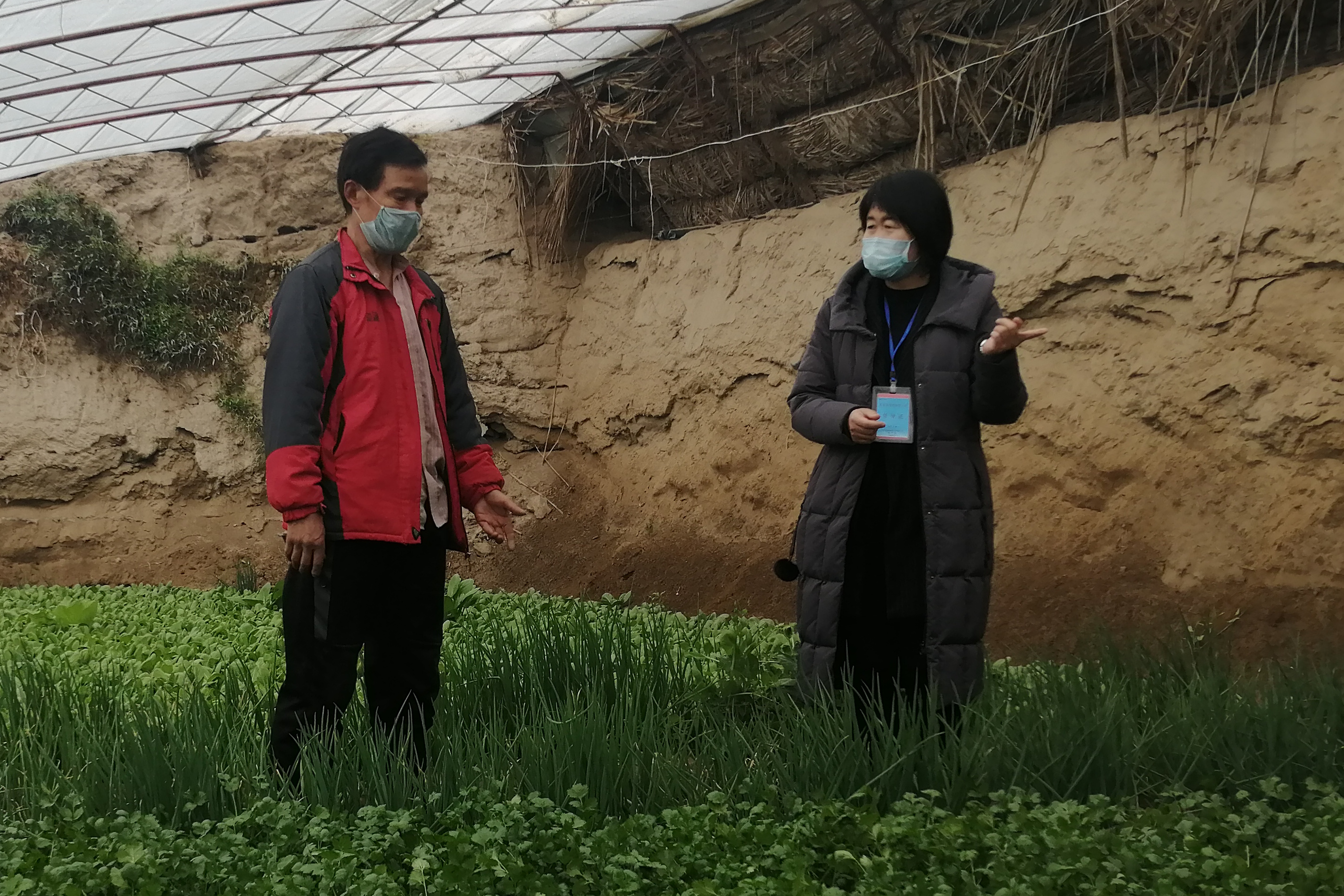 且末县纪委监委干部实地走访当地“菜篮子”供应情况.jpg