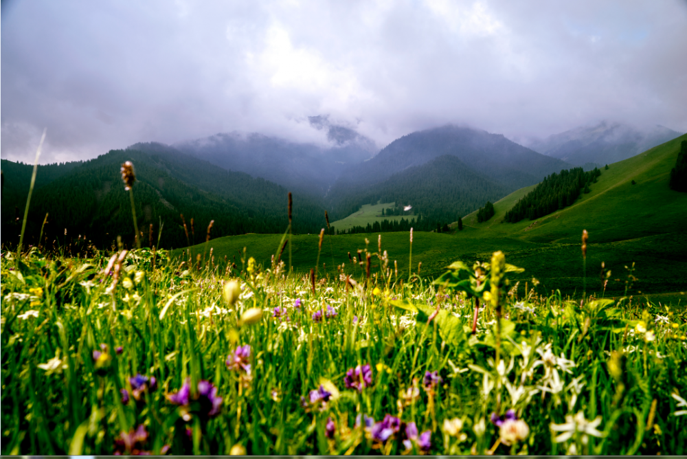 【纪检人·镜头】人间仙境花儿沟