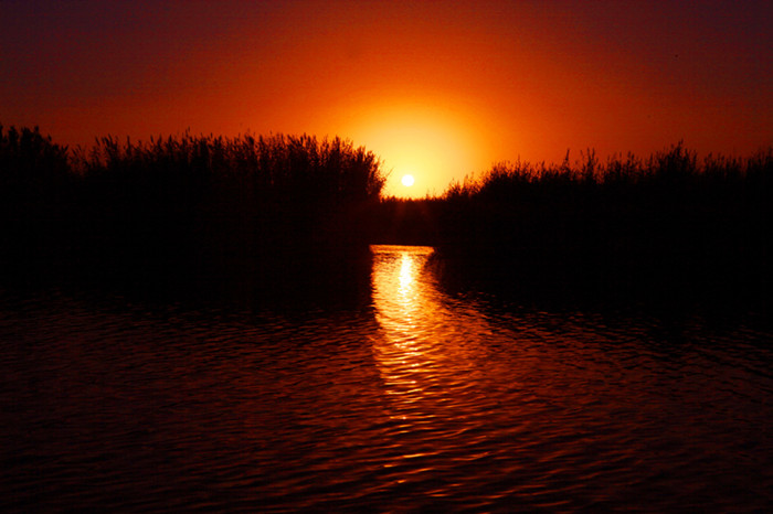 [镜头] 焉耆县:相思湖畔说相思