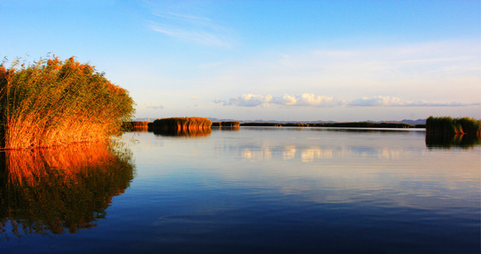 [镜头] 焉耆县:相思湖畔说相思