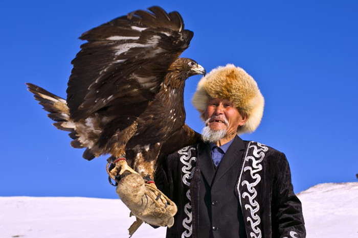 鹰是生活在高山上的飞禽,秉性凶猛,动作敏捷,要想捉住并驯服它,那得有