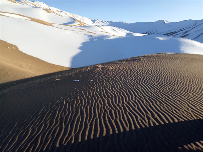 位于若羌县阿尔金山自然保护区内海拔最高的库木库里沙漠依然被皑皑