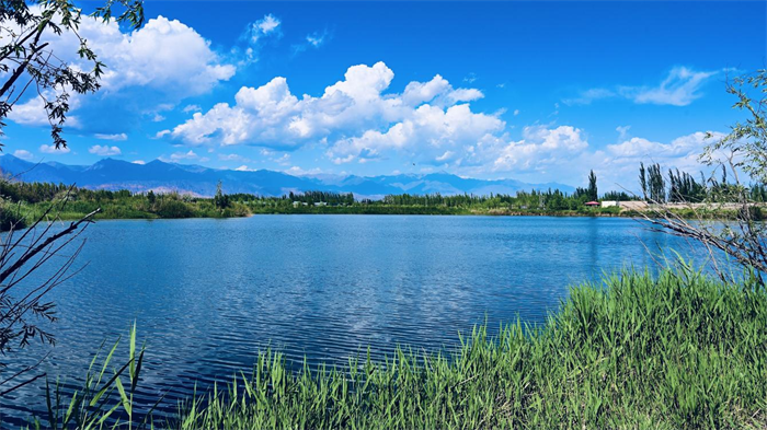 和静县协比乃尔布呼镇的天鹅湾微风佛面,波光粼粼,蓝天白云,青草绿树