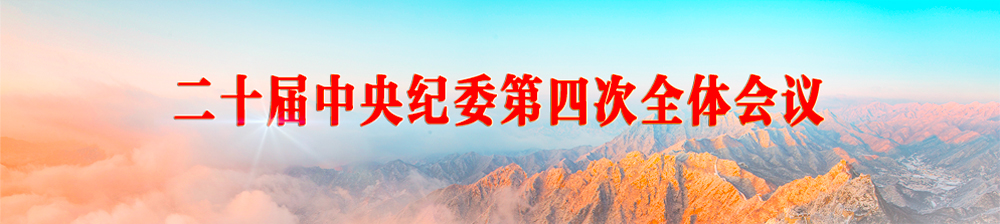 二十届中央纪委四次全会