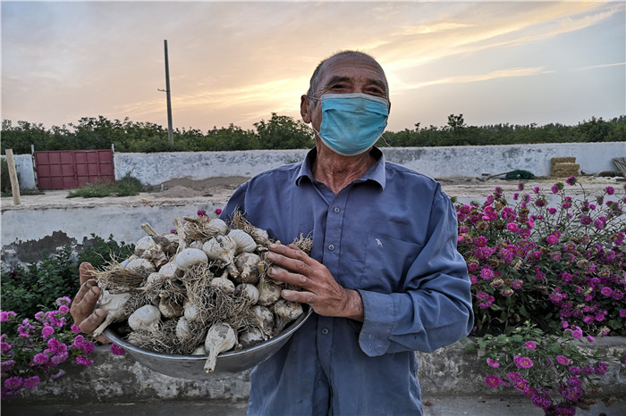 圖九:夕陽下,捧著一下午收穫的白髮老人樂悠悠地走回家,盆滿缽滿的