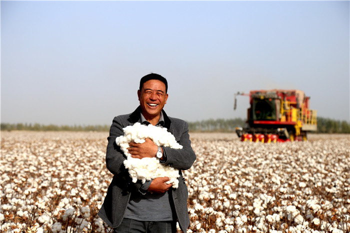 图六:看着轰隆隆的大型采棉机在田间来回忙碌,农民伯伯坐等丰收,开心