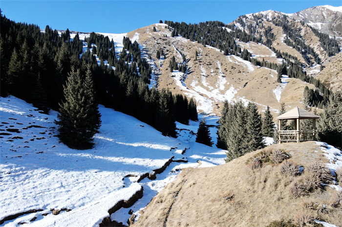 镜头雪压冬云白絮飞